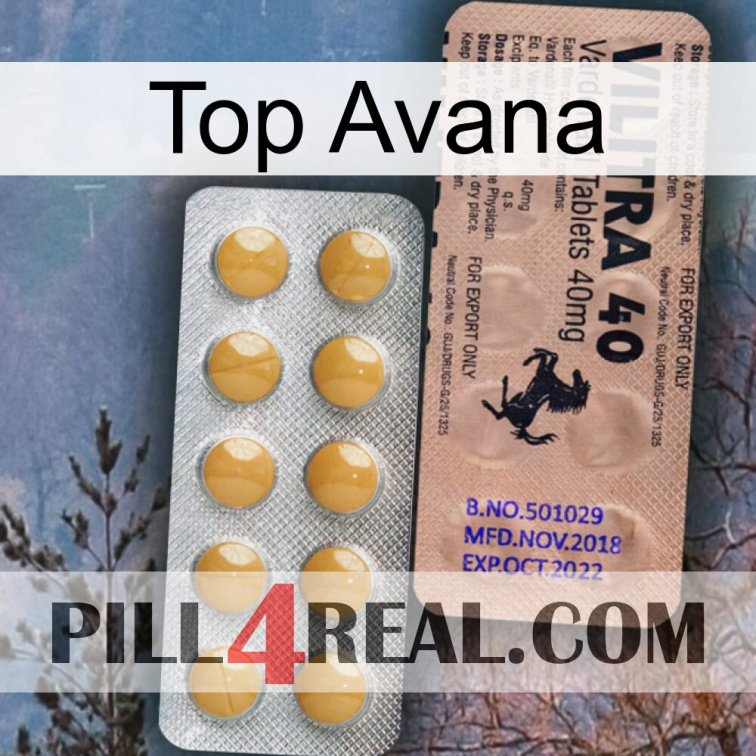 Top Avana 41